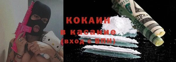 хмурый Алексин