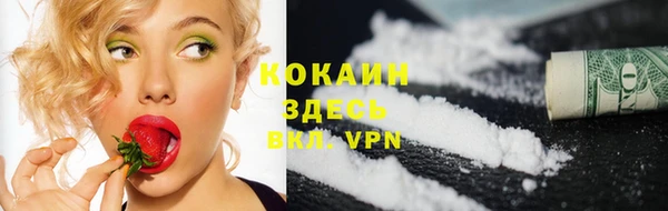 спиды Рославль