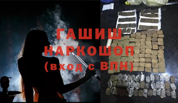 хмурый Алексин